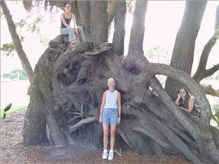 small_021020 hilton headIMG_9186.webp